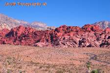Red Rock Canyon.jpg (22844 bytes)
